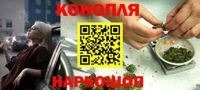 индика Аргун