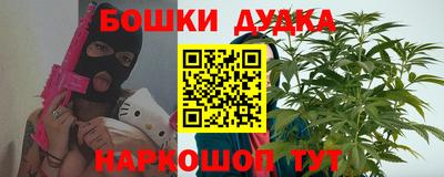 индика Аргун
