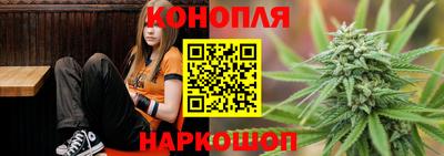 индика Аргун